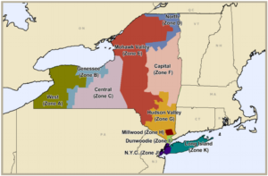 A map of the new york state with all zones colored in.